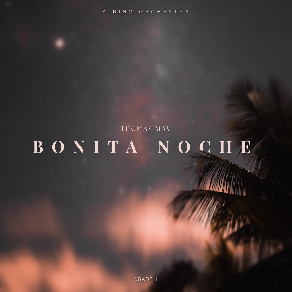 Bonita Noche art